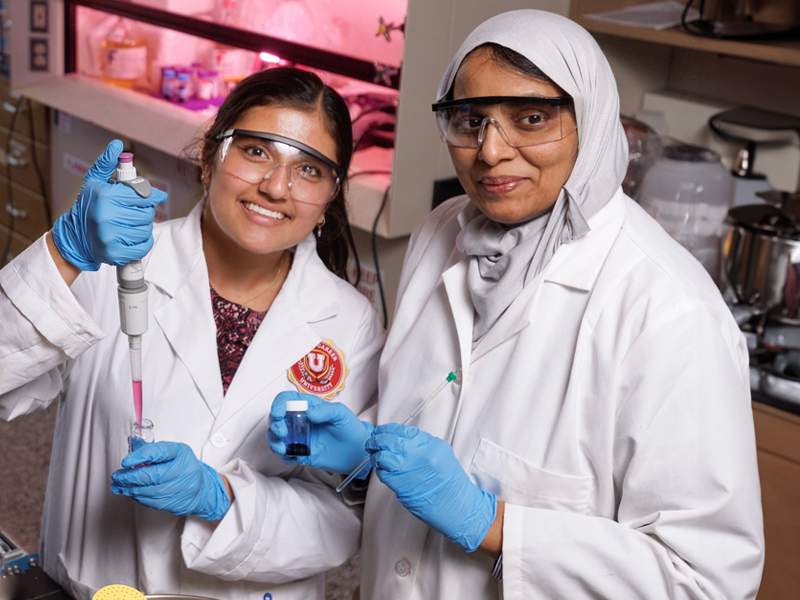 bingo plus free bonus